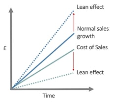 Effetti Lean Marketing