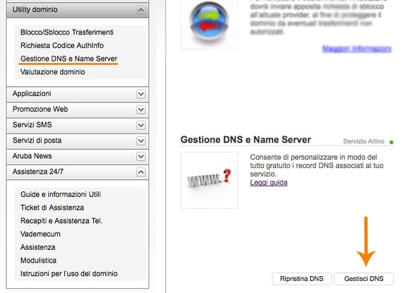 gestione dns.jpg